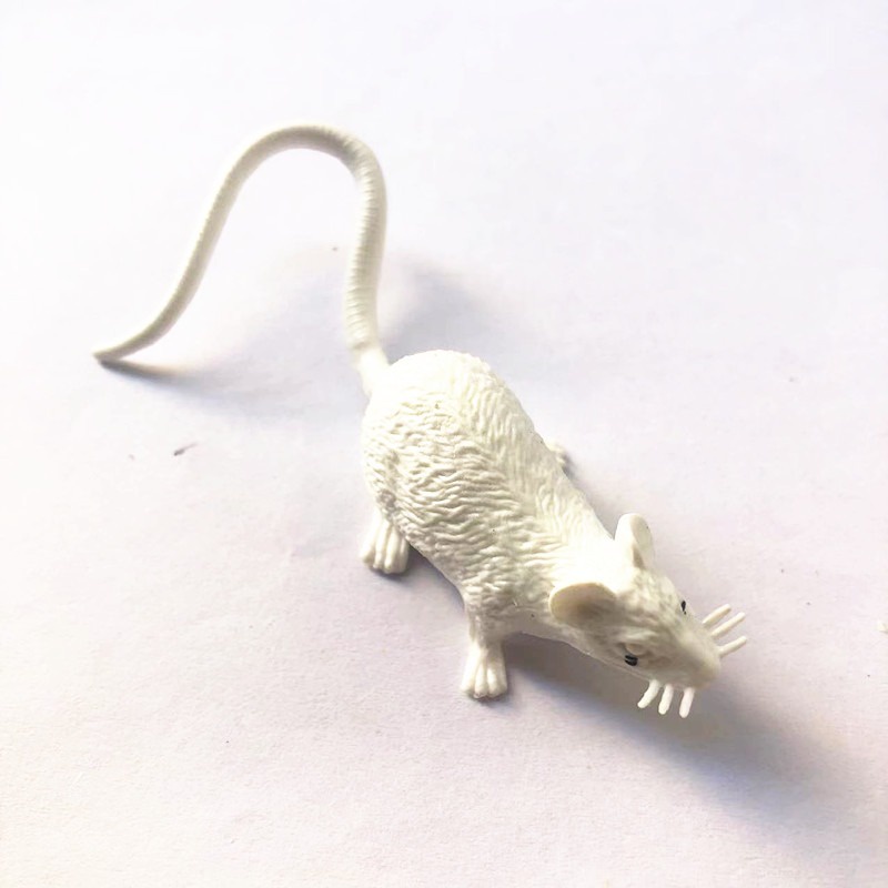 Mô hình con chuột giả thiết kế trông như thật thích hợp để hù mấy bạn bánh bèo