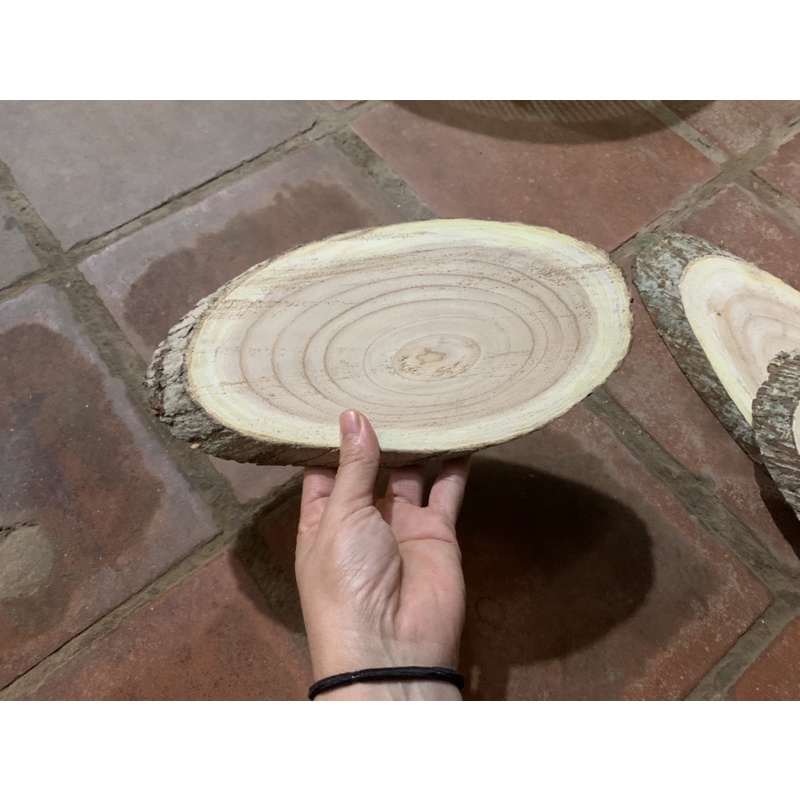 Lát gỗ decor trang trí size 16-30cm