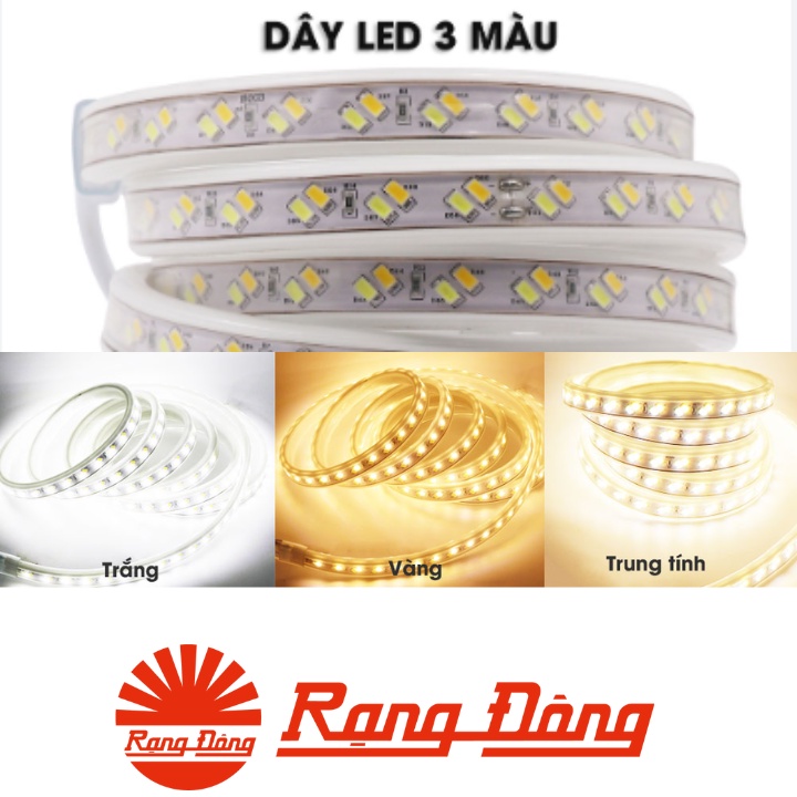 Đèn LED dây Rạng Đông, IP65- Bảo hành chinh hãng