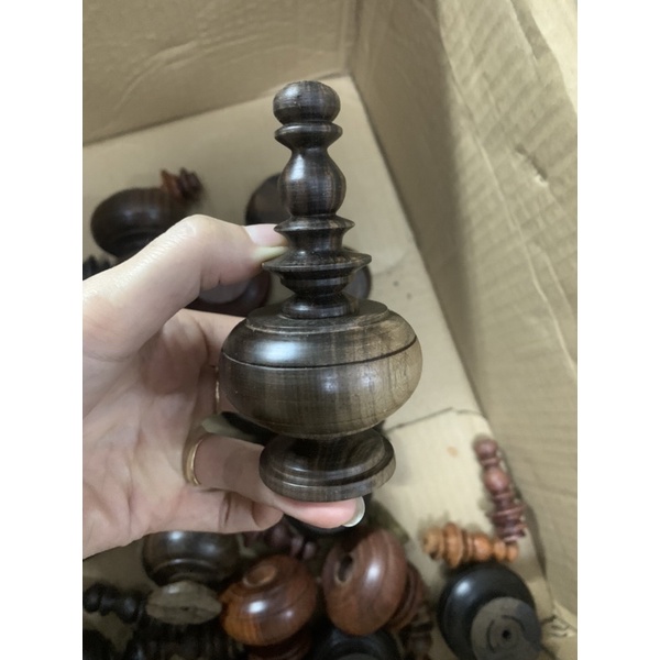 Nậm cẩm , mun khuyên