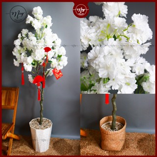 Cây giả,Cây Đào Nhật giả hoa trắng cao 1m2