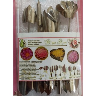 Dụng cụ làm thạch rau câu 3D inox 304 Ngọc Huệ hoa hồng sa mạc, sao nhái, cẩm chướng (bộ 10 kim số 13)
