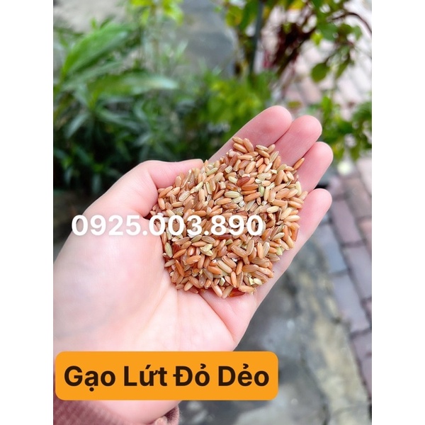 Đòng túi thường, không hút chân không- ăn kiêng giảm cân healthy eatclean