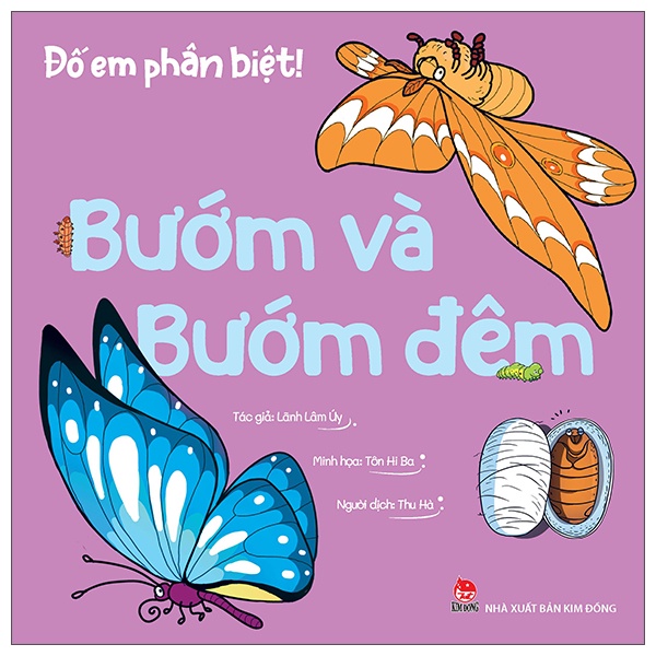 Sách Đố Em Phân Biệt! - Bướm Và Bướm Đêm