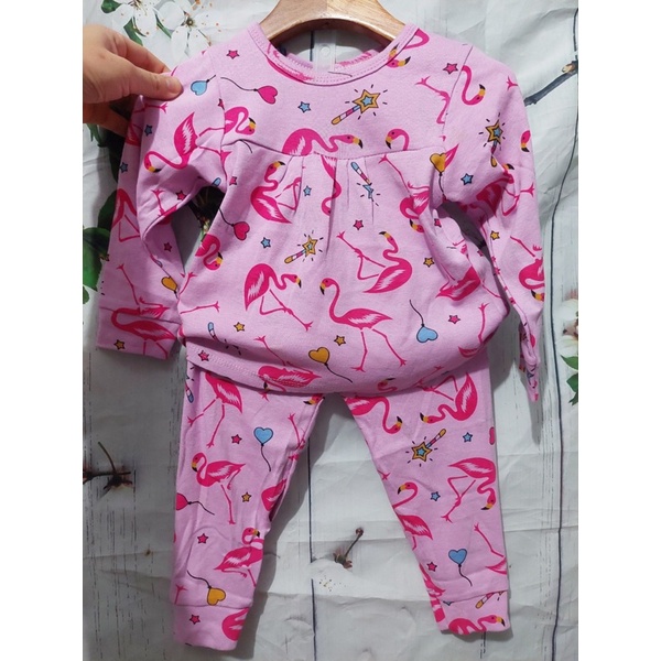 Bộ hình bozip bé