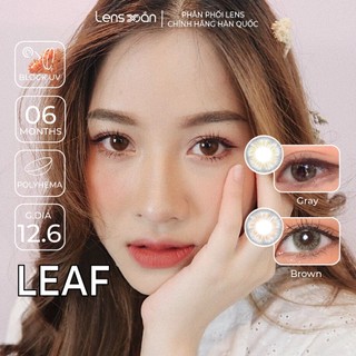 Kính áp tròng cận 6 tháng LENS XOẮN lens nâu xám tây có viền B.S.COR LIGHTLY BROWN LIGHTLY GRAY