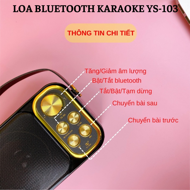 Loa Bluetooth SD-306 Không dây - loa karaoke mini tặng kèm 2 mic bluetooth - BH 6 THÁNG