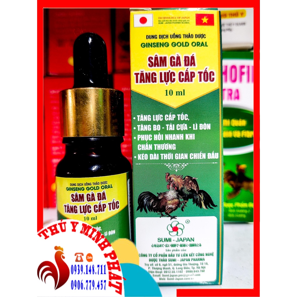 SÂM GÀ ĐÁ TĂNG LỰC CẤP TỐC, TĂNG LỰC THẢO DƯỢC