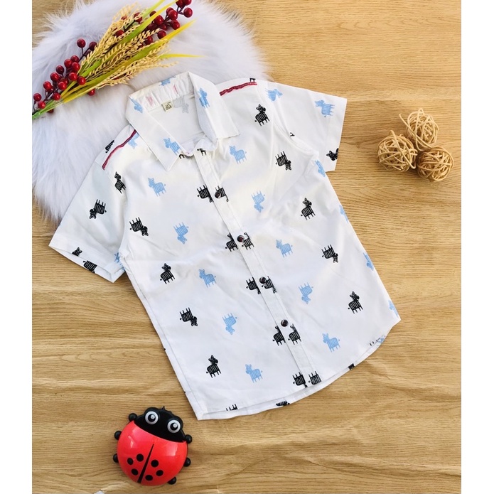 💥 Áo sơ mi kate thun co giãn bé từ 27-41kg