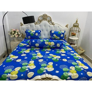 Bộ Drap Thun Hàn Quốc Mát Lạnh { 4 món} inbox chọn màu nha bạn