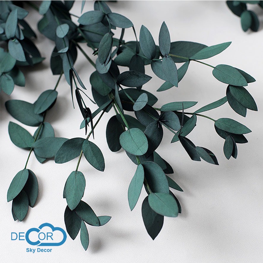 Lá vân nam Sky Decor - Hoa lá trang trí, decor nhà cửa, phụ kiện chụp ảnh sản phẩm