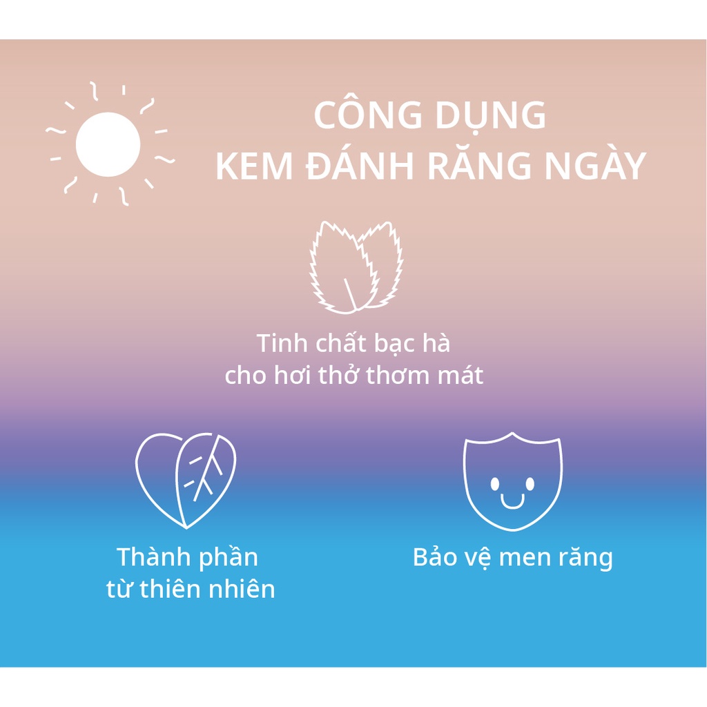 Combo Bàn Chải Điện Zenyum Sonic + Bộ 2 Kem Đánh Răng Zenyum Fresh Ngày và Đêm