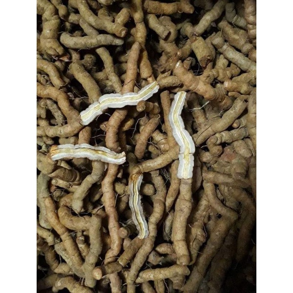 Ba kích tím Quảng Ninh loại 1 cam kết ngâm tím 100%