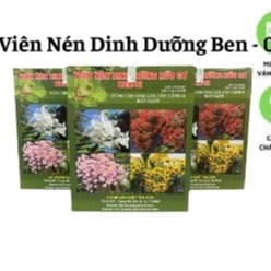 Ben 01 Hùng Nguyễn hộp 1kg dùng bón gốc cho hoa lan, cây cảnh và rau sạch