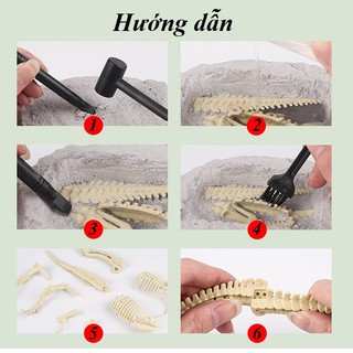 Hóa thạch khủng long, đồ chơi khảo cổ cho bé