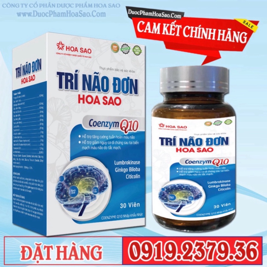 Trí Não Đơn Hoa Sao - Hỗ trợ tuần hoàn não, phòng ngừa tai biến