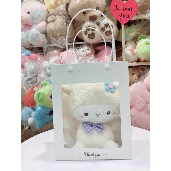 Túi giấy kiếng kích thước  cm