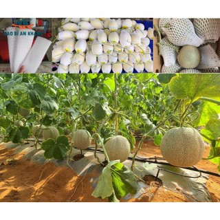 1kg_ Xốp lưới bọc trái cây 15cm. Nhận tối đa 1kg/1 đơn