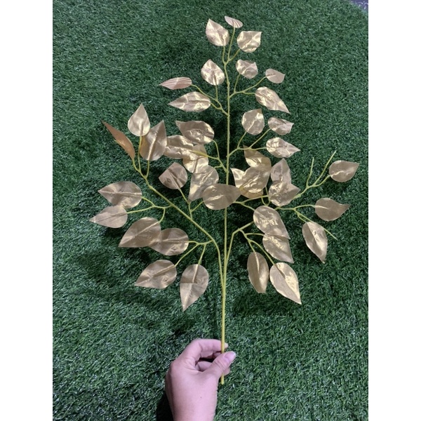 Lá cây si vàng giả