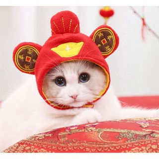 Mũ thần tài cho thú cưng chó mèo - mũ tết 2023 - pet&joi