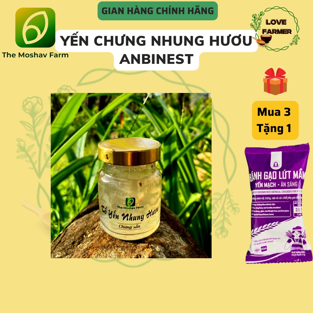 1 Hũ Lẻ Tổ Yến Nhung Hươu Chưng Sẵn Anbinest-Yến chưng ANBINEST Dành Cho Người Già, Người Ốm, Trẻ Em, Bồi bổ cơ thể