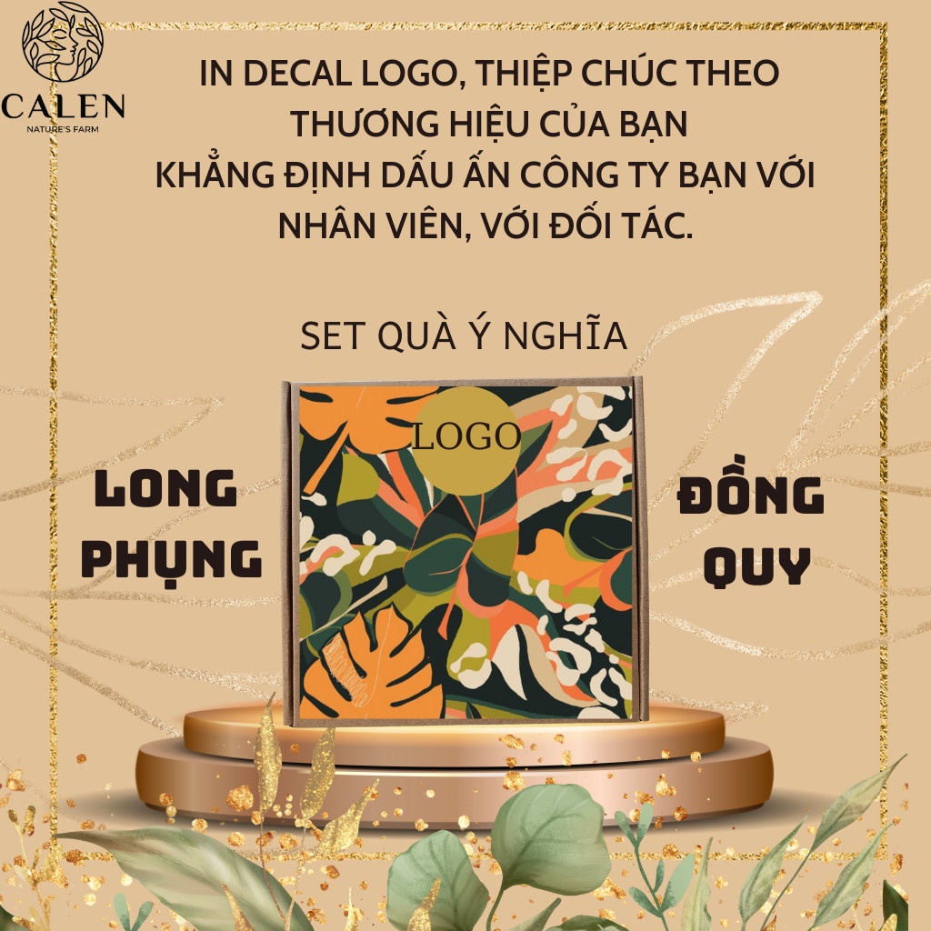 Quà tết 2023 Long Phụng Đồng Quy ,  trà hoa thảo mộc đẳng cấp sang trọng đông trùng hạ thảo, trà shantuyet