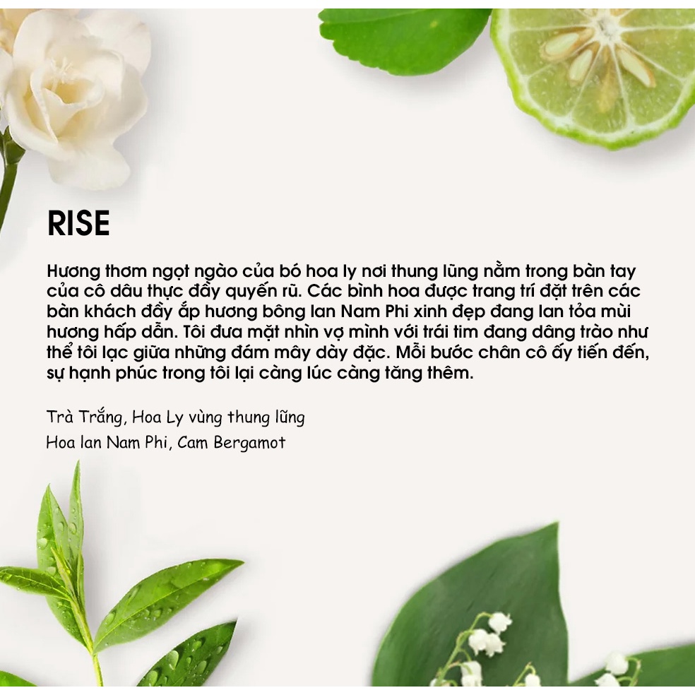 Bộ Tinh dầu treo xe ôtô ĐÁ NÚI LỬA chính hãng Thái lan - Yugen Vietnam