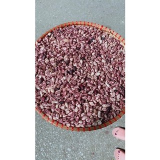 Lạc Hoa Mèo