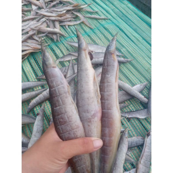 Khô cá chạch size đại vị vừa ăn