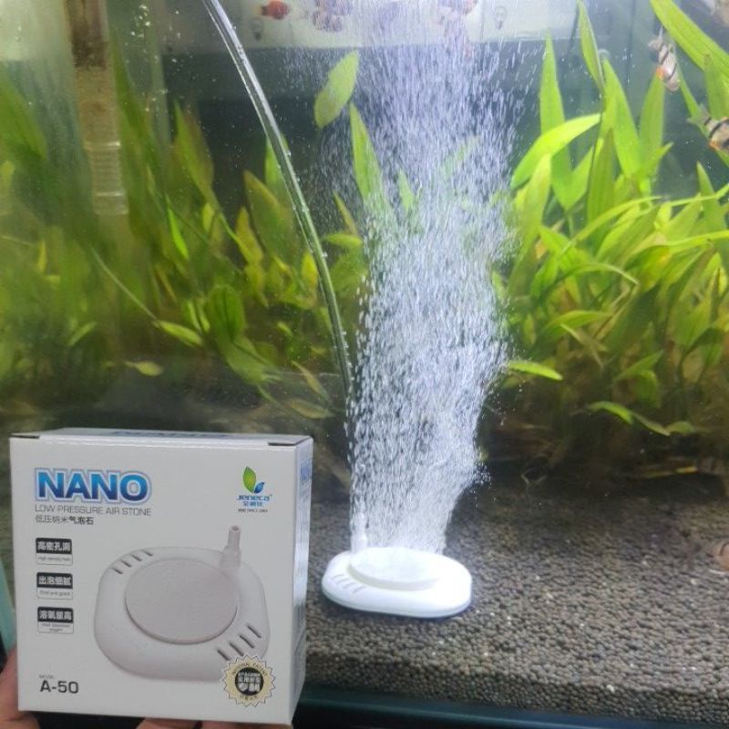 Đĩa sủi siêu mịn Jeneca A50 dành cho máy sủi oxi nuôi cá