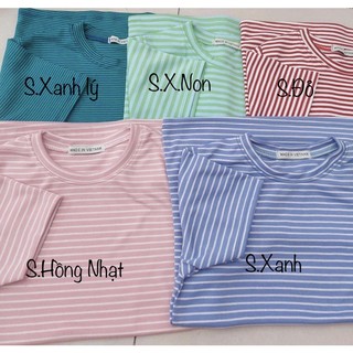 Áo Thun SỌC BODY BABYTEE( 40~50kg )
