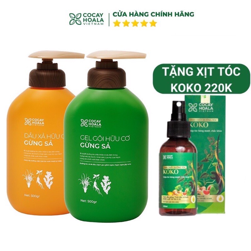 Dầu gội thảo dược gừng sả Cocayhoala dành cho mẹ bầu an toàn lành tính 500g/chai
