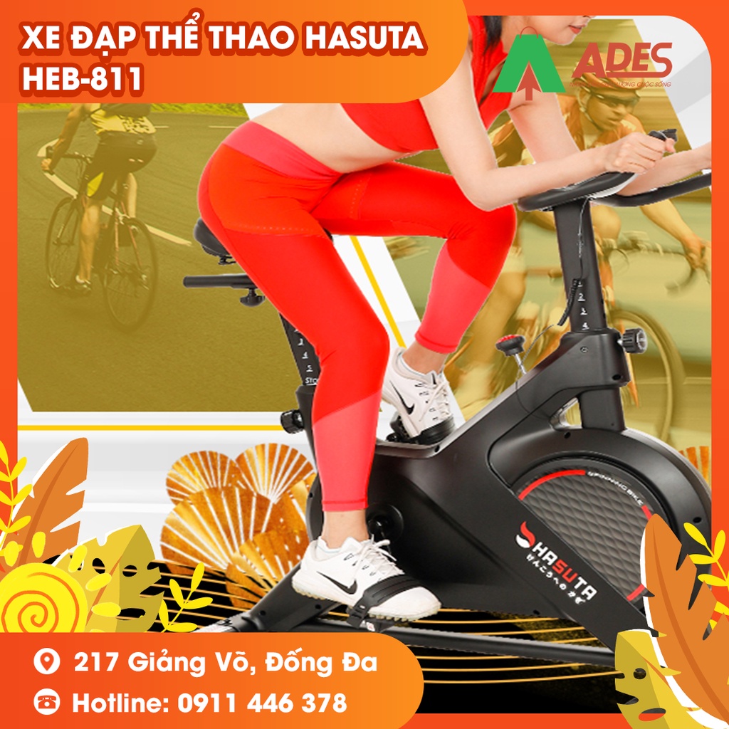 Xe Đạp Tập Thể Dục HEB-811