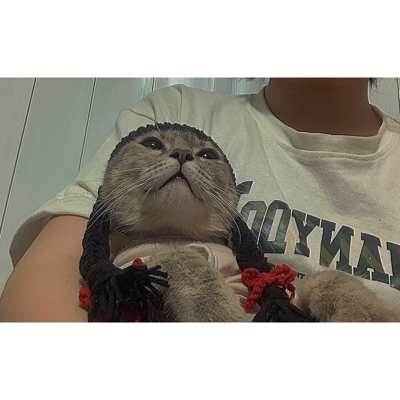 Nón len cho hamster, sóc, bọ, thỏ,mèo v.v...