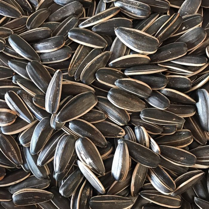 Hướng dương vị truyền thống túi 500gr