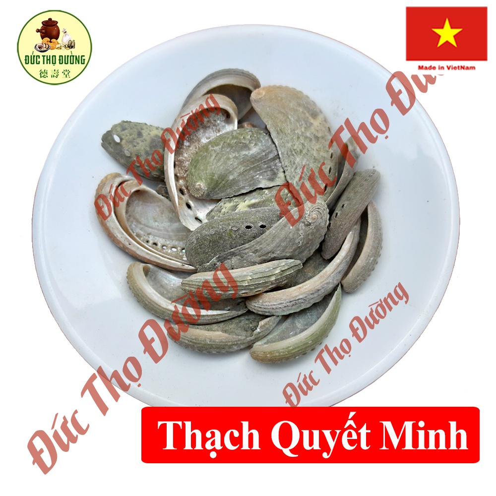 Thạch Quyết Minh - Sò 9 Lỗ - Cửu Khổng - Túi 100 gam