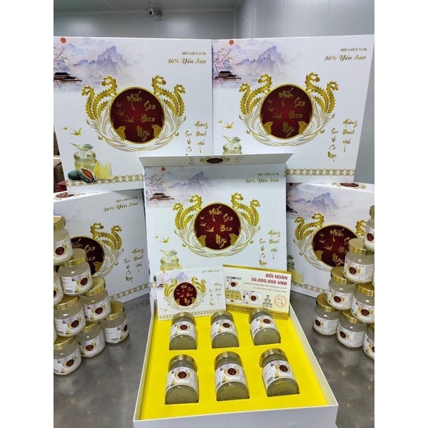 Yến sào đông trùng hạ thảo hồng sâm, đường phèn, nhân sâm,vi cá mập  yến sào 32%