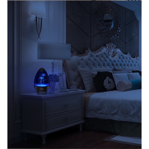 Đèn Ngủ Co Sứa Hiệu Ứng Led RGB 3D | BigBuy360 - bigbuy360.vn