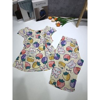 Đồ bộ tole lửng tay búp f21