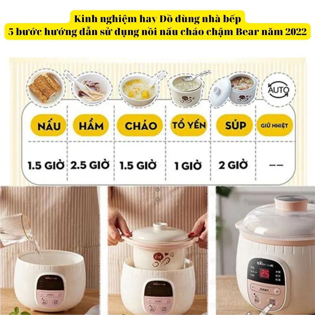 Nồi Nấu Cháo,Chưng Yến BEAR Bản Quốc Tế 0.8L - Chính Hãng BEAR BH 18 Tháng