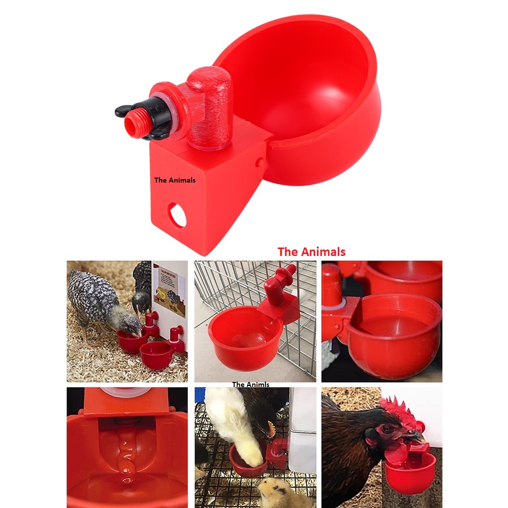 [30 cái] Máng Uống Nước Tự Động Cho Gà (Loại mới)