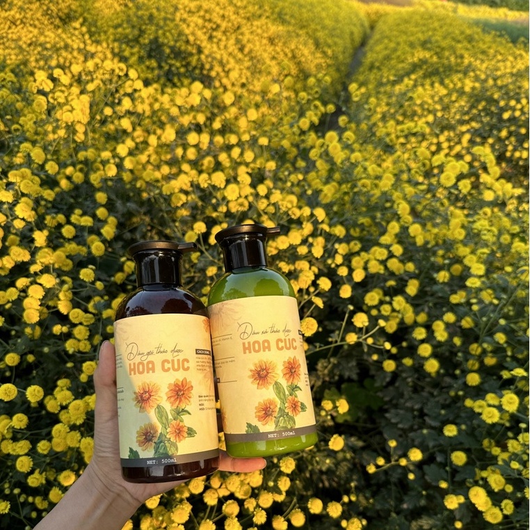 Dầu Gội Thảo Mộc Hoa Cúc Cô Đặc - 500ml, Phục Hồi Nuôi Dưỡng Cho Tóc Khô Xơ Chẻ Ngọn Hay Dùng Hoá Chất