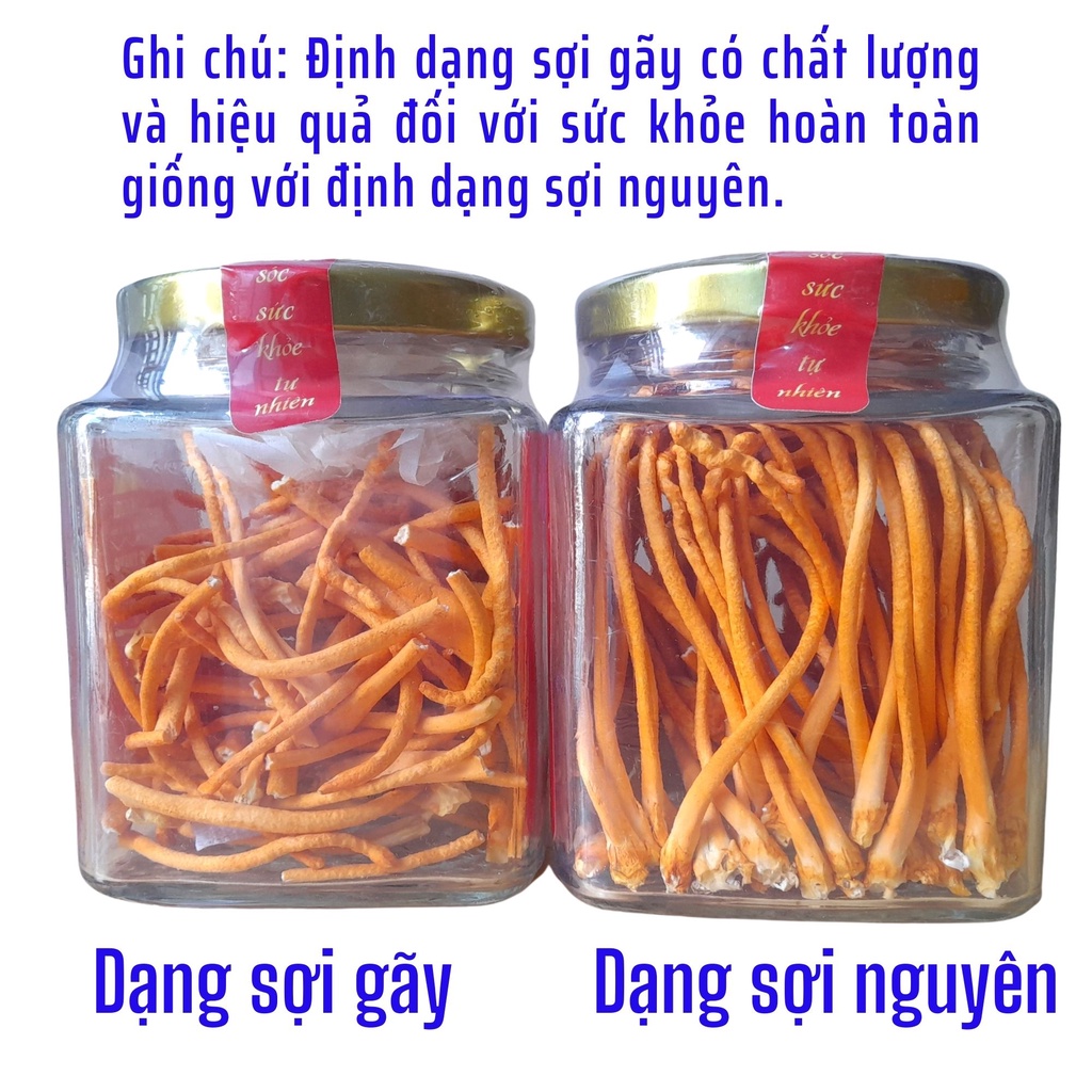 Đông Trùng Hạ Thảo Sấy Thăng Hoa Huỳnh Nguyên Cao Cấp hộp 10gam