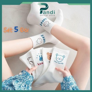 Tất cao cổ nữ ,tất nữ họa tiết gấu màu trắng phong cách hàn siêu cute pandi.official