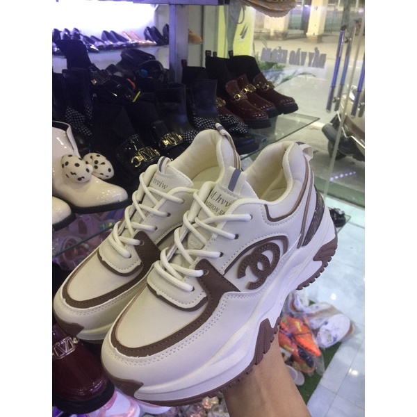 Giày thể thao độn 5p hàng hot 2022 .