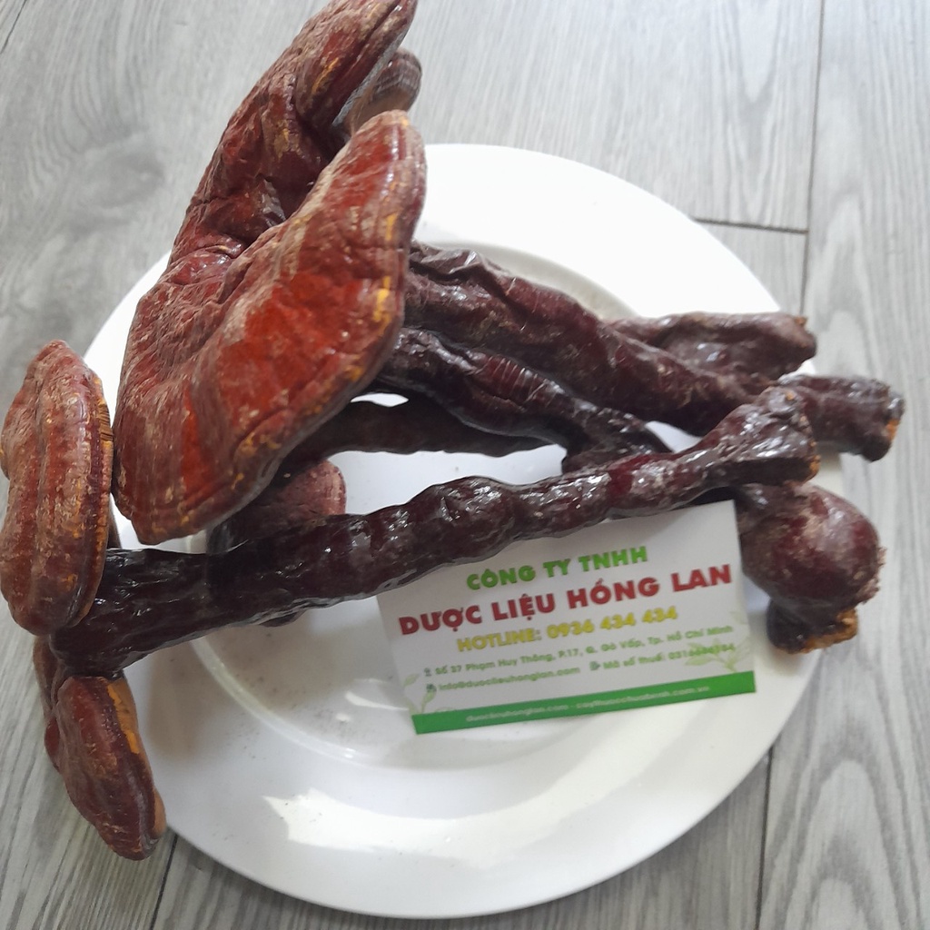 ✅ Nấm Linh Chi Đỏ loại 1