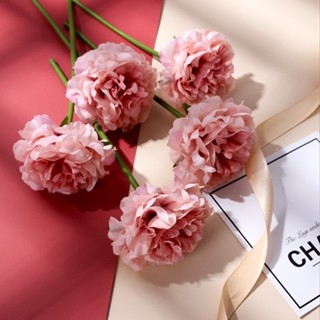 Hoa Hồng Mẫu Đơn Giả, Hoa Lụa Nhiều Màu Cành 26cm Trang Trí Tết, Noel, Decor Phòng, Phụ kiện chụp ảnh, hoa cưới