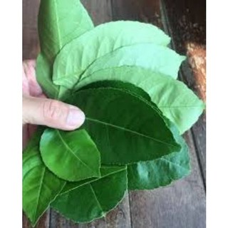 100gr Lá chanh  ( tươi)