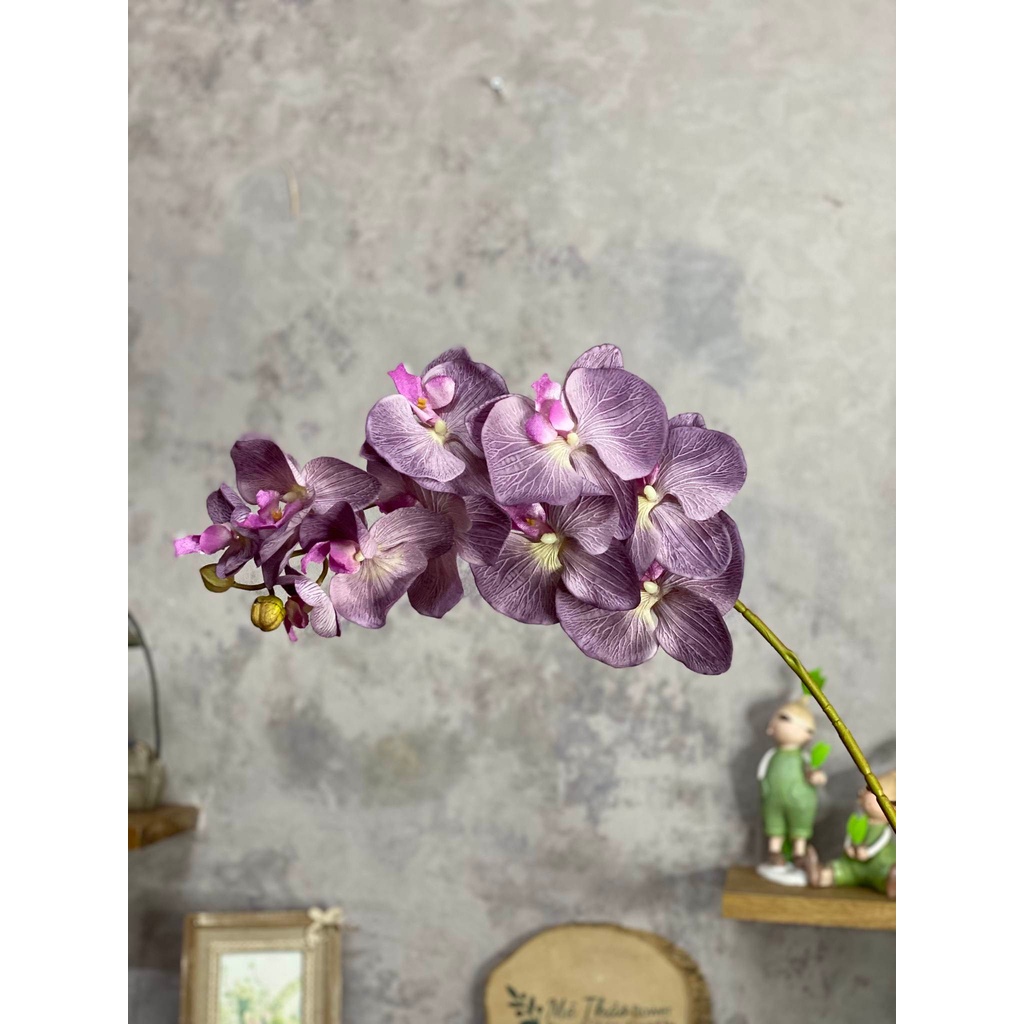 Hoa Lan- Lan Hồ Điệp Giả 9 Bông-Lan Hồ Điệp Cao Su Cao Cấp Dùng Để Trang Trí Nội Thất, Decor Shop, Quán Cafe
