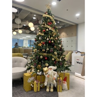 Set hộp quà trang trí chân cây thông noel